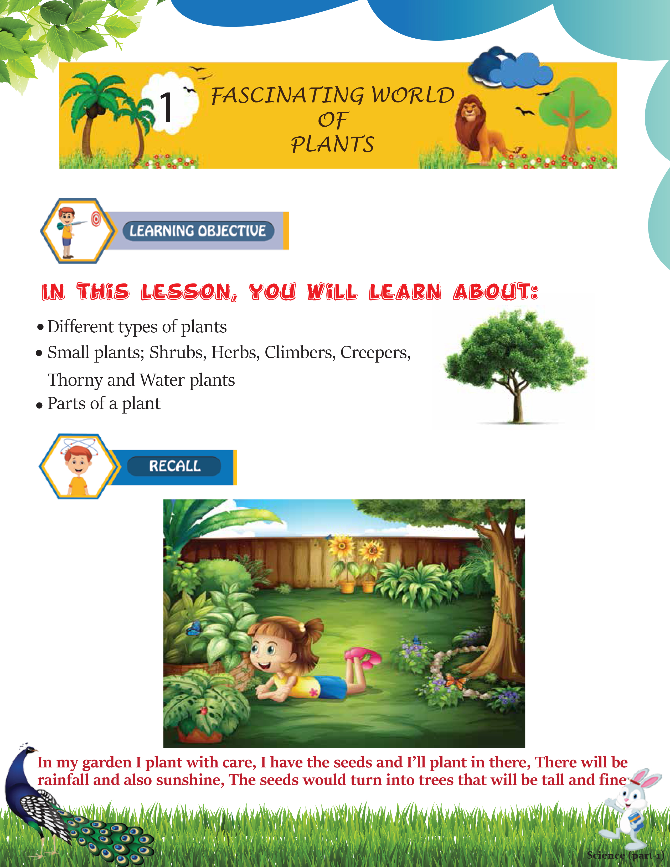 Create any type of Book, eBook, Kindle, Paperback, Children Book & iBook for you in just 2 days