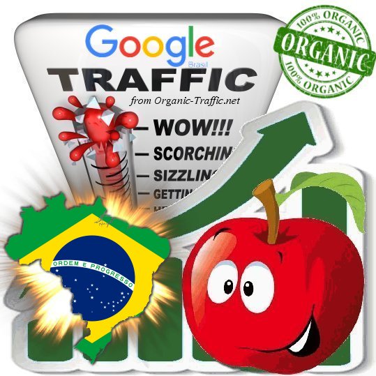 Brasilian Search Traffic from Google.com.br with your Keywords