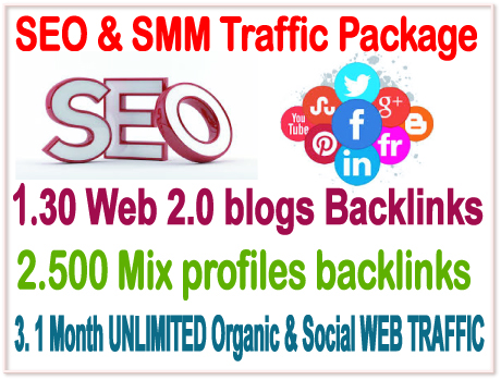  30 WEB 2.0 Blogs Backlinks- 500 Mix Profiles Backlinks- 1 Month Unlimited web traffic