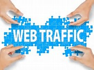 Real,Quality and TARGETTED Niche Based  Web TRAFFIC for 