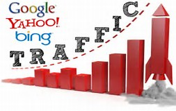 Real,Quality and TARGETTED Niche Based  Web TRAFFIC for 