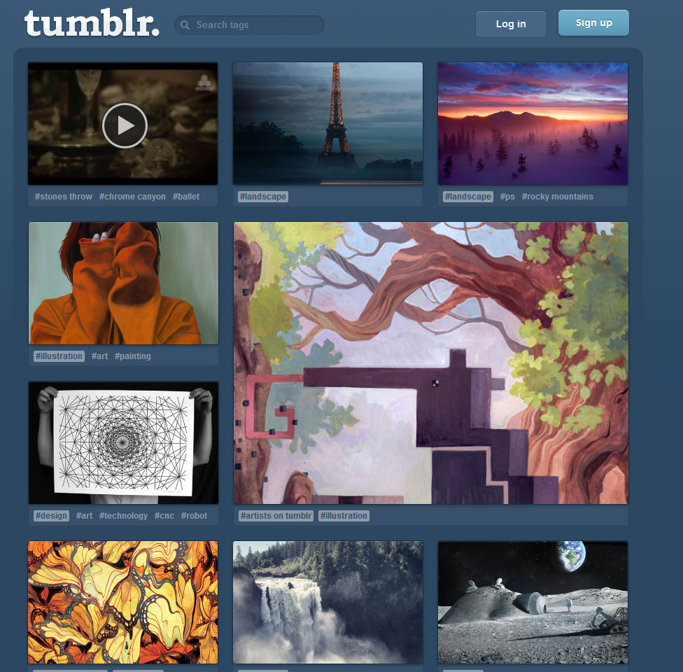 build you a managed niche tumblr account
