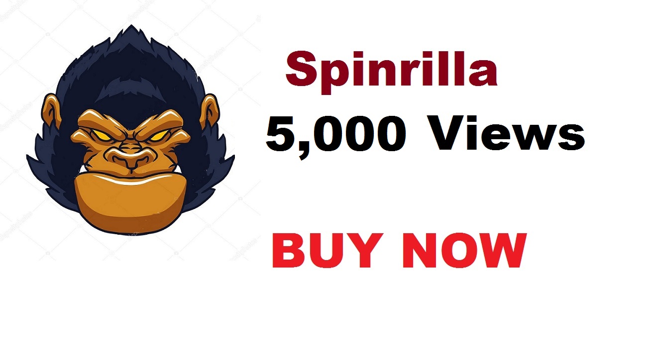 5,000 views for spinrilla mixtape for 4 SEOClerks