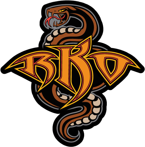 Remove Image Background , 30 image Vector Tracing 