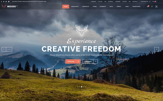 Customize Your Website By Avada, Jupiter, Be, Th7, Bridge Theme