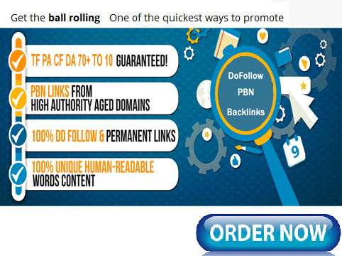 Add 100 Permanent Do Follow PBN Homepage Backlinks from our PBN Network