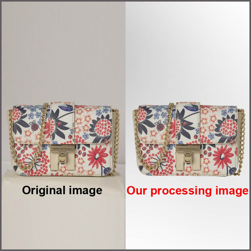 5 Image Clipping path Money-Back Satisfaction Guaranteed