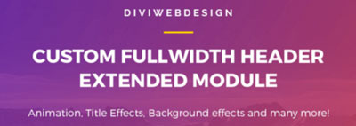Install Divi Theme And 2 Wordpress Divi Plugins