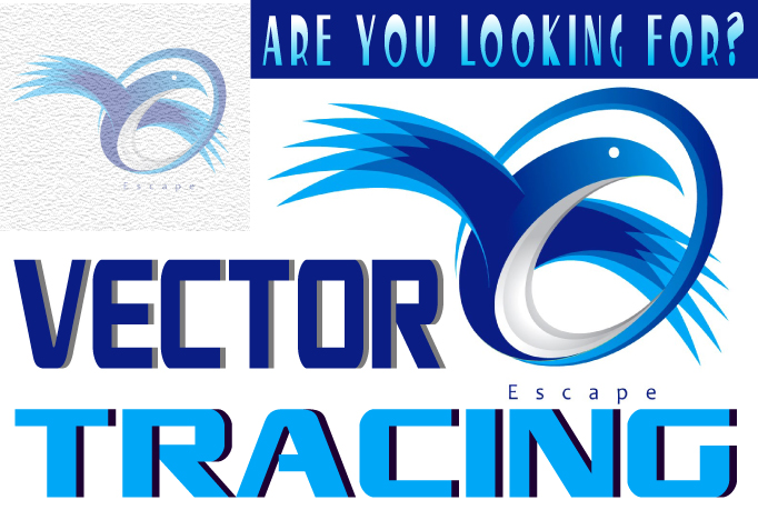 I Will Do Vector Tracing Logo For Redraw Any Images