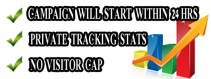 30 days unlimited organic website traffic 