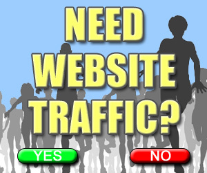 send 1000 real targeted USA visitors to your website...