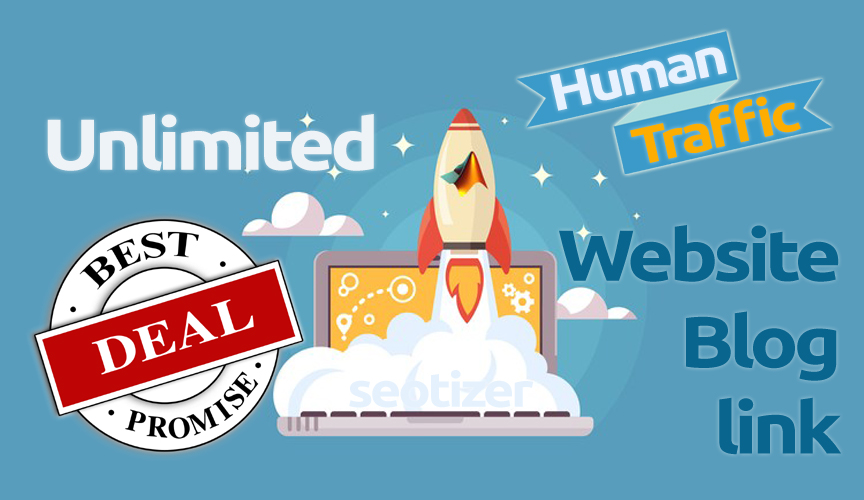 Unlimited Real Human Traffic on Website Upto 30 Days
