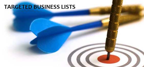 Providing highly targeted Local Business Lists For Prospecting