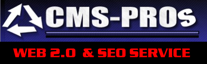 optimize and promote your WordPress blog website