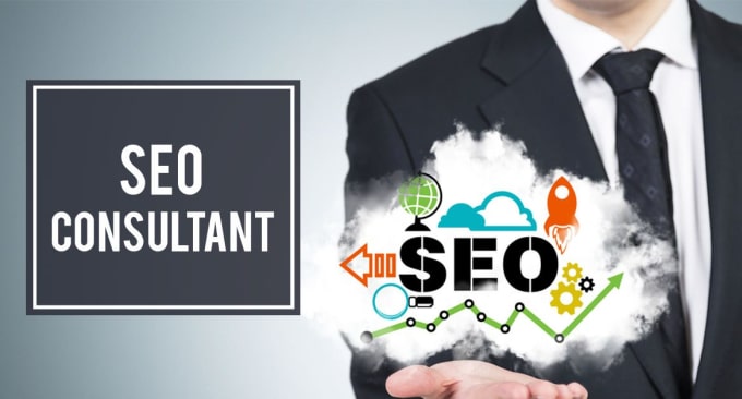 I can be your dedicated SEO consultant for a month