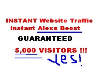 Provide You 3000 To 8000 Visitors Every Day Forever Get Unique Traffic To Your Site