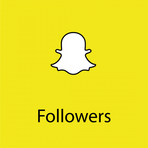 Snapchat +100 friends request for 10 SEOClerks