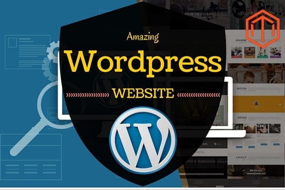 Create A Professional Wordpress Website, Blog, E-commerce store
