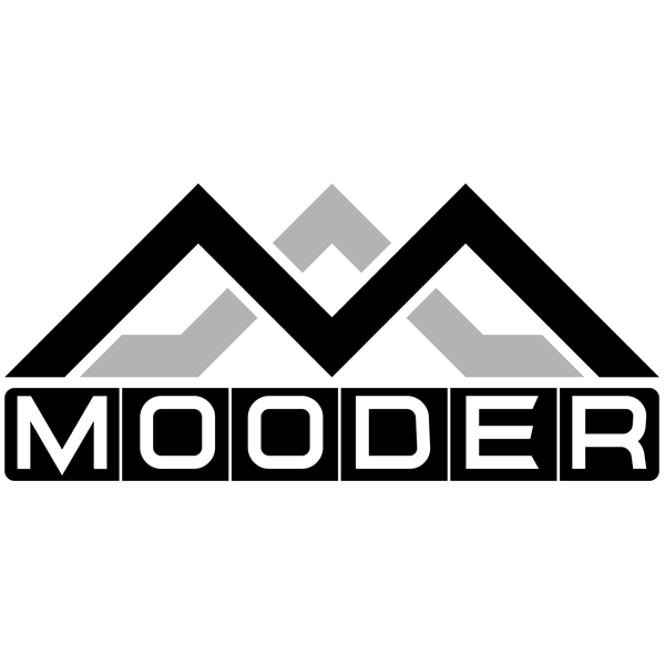 Desine professional logo for you just 5$