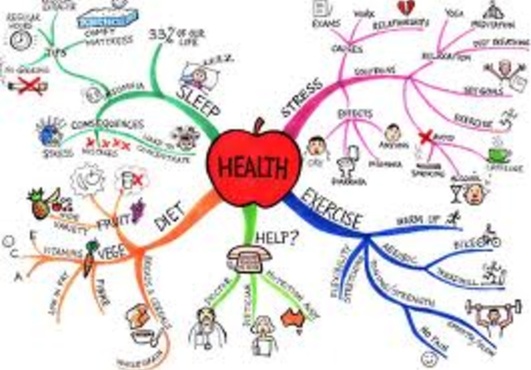 give you a PR5 Health niche one way Doffollow blogroll link