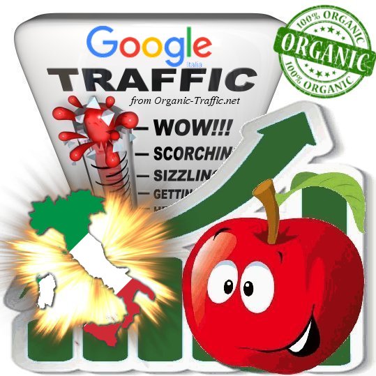 Italian Search Traffic from Google.it with your Keywords