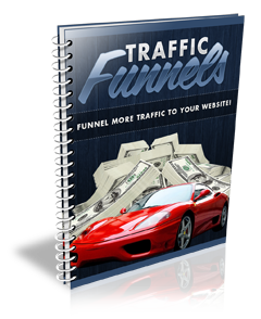 give you the script that generates Unstoppable Free Traffic to your website/blog on autopilot  