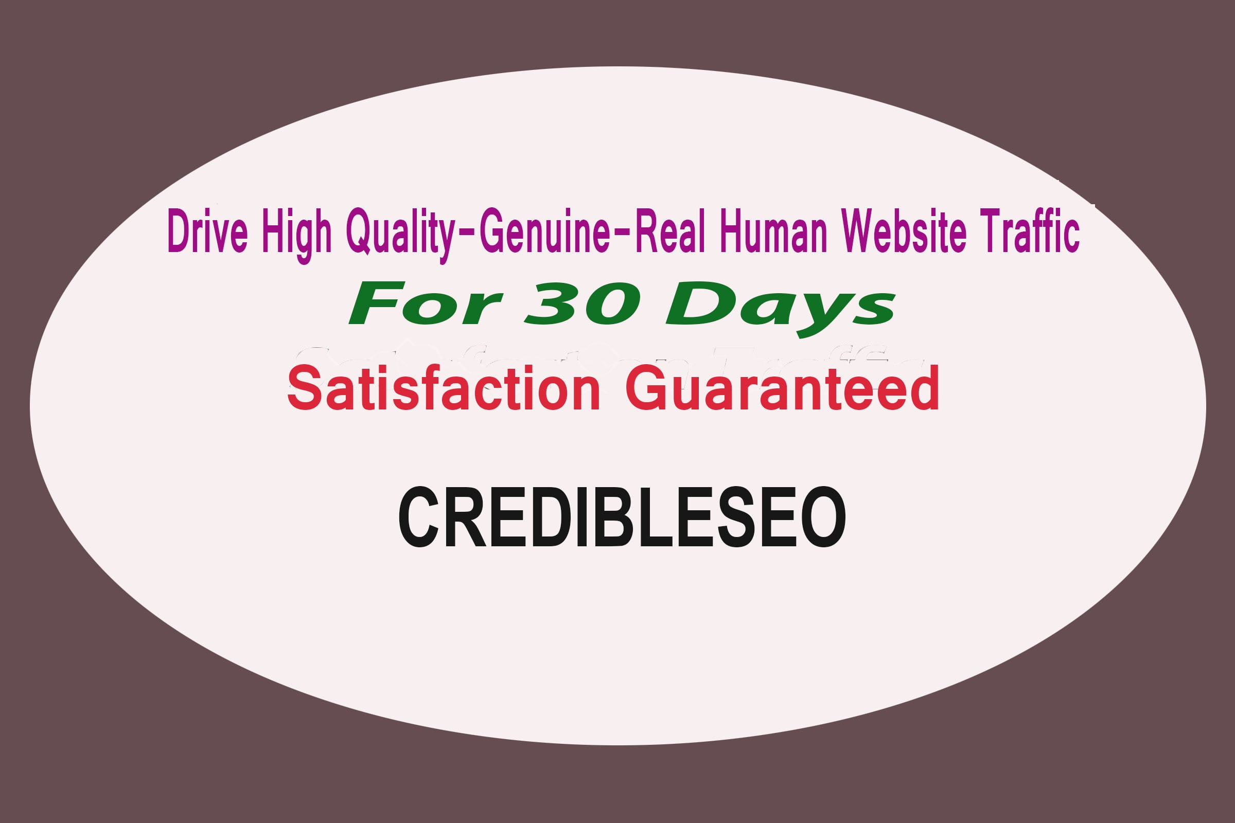 Provide High Quality,Genuine,Real Human Website Traffic Visitor For 30 Days
