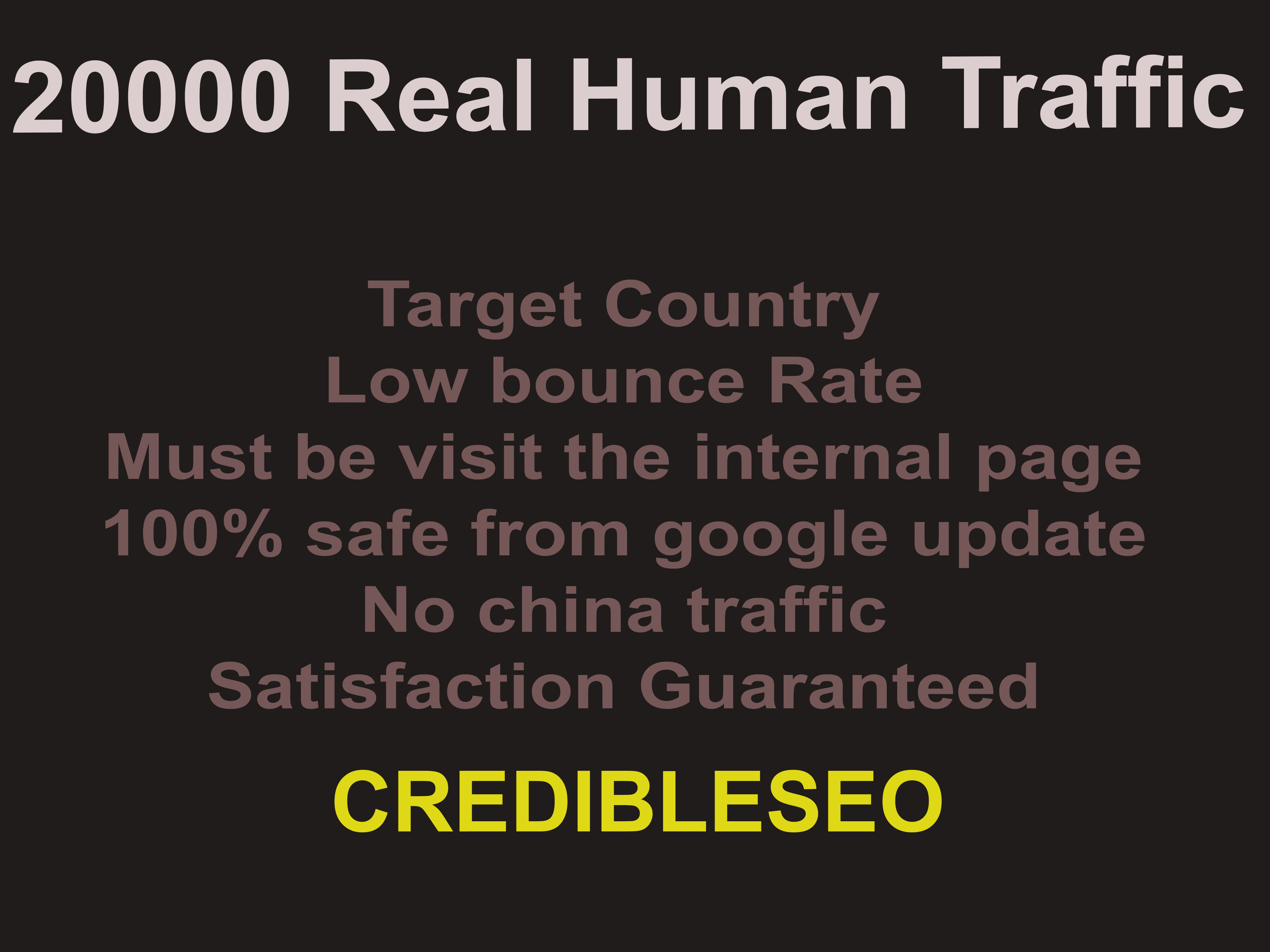 Deliver 20k Real Human Website Traffic