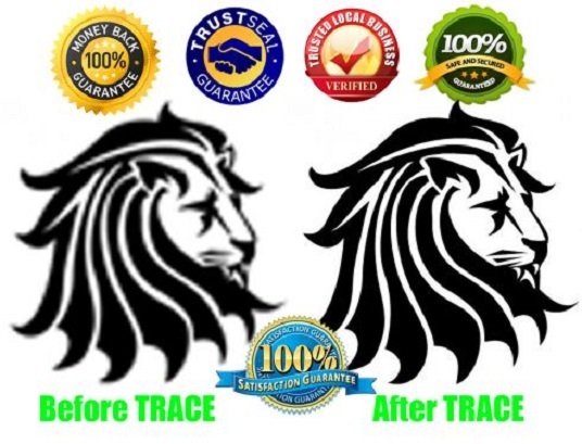  professionally vectorize your logo or anything