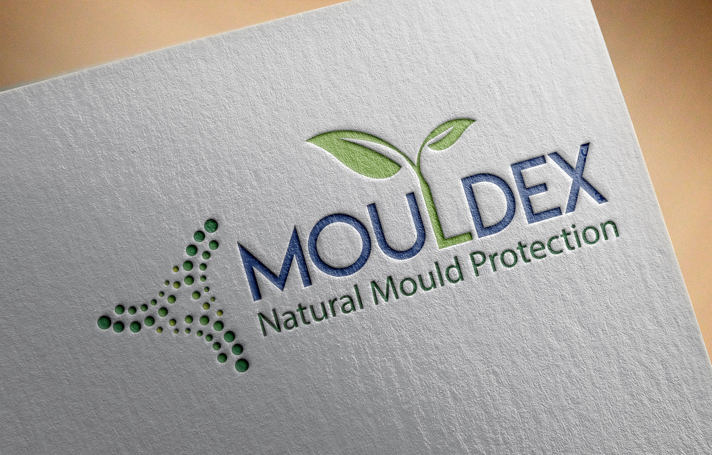 Design 2 Modern Logo In 24 Hours With Vector File