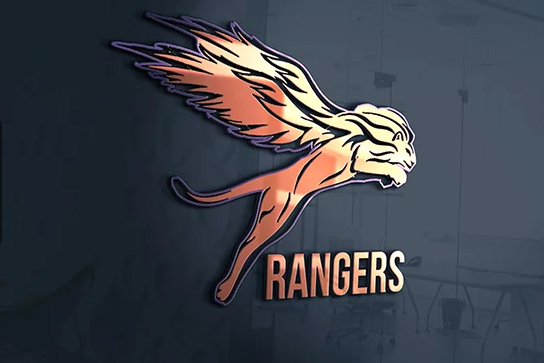 design amazing and elegant logo 