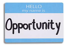 provide you with a prewritten and modifiable program statement for starting a group home
