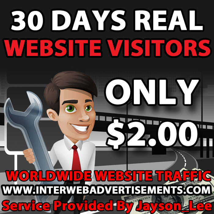 1 Month Web Traffic To Your Website, Blog or Affiliate Link