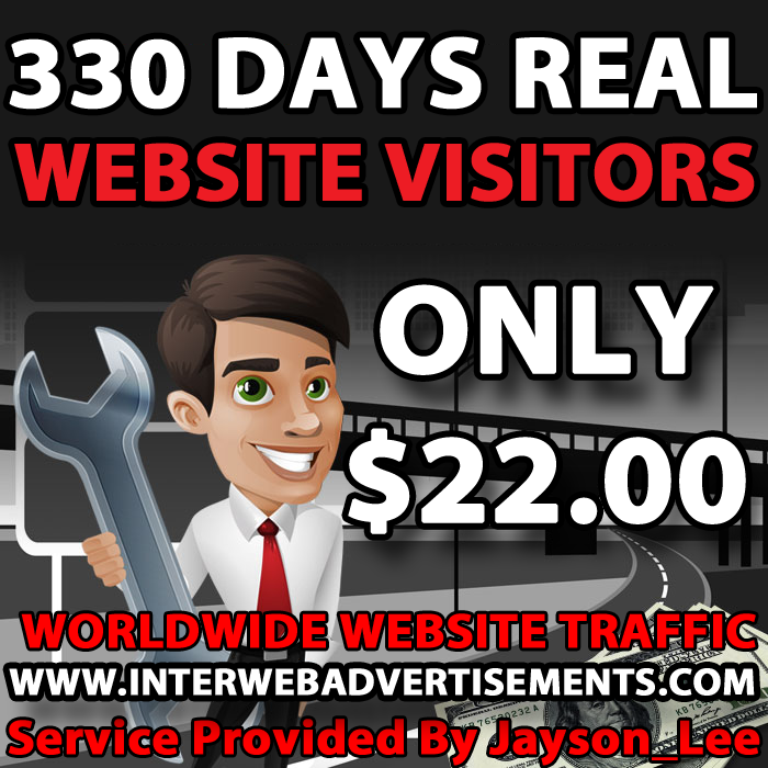11 Months Web Traffic To Your Website, Blog or Affiliate Link