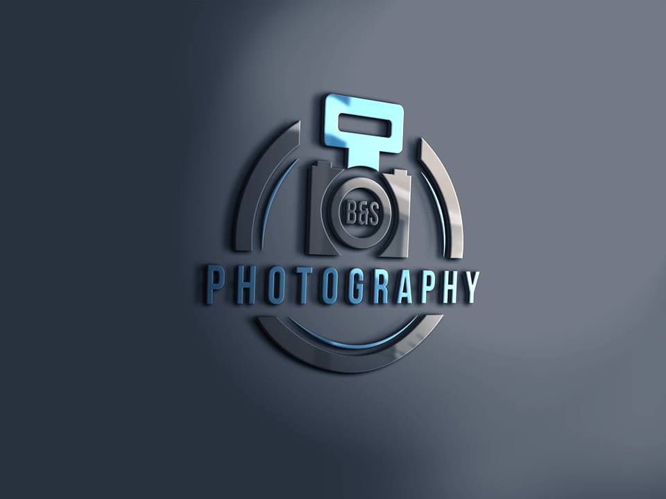 Professional Logo Design