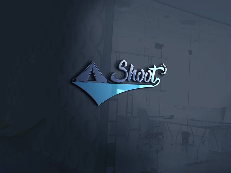 Professional Logo Design