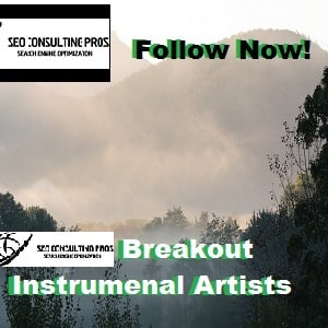 Breakout Instrumental Artists You Should Follow Playlist SEO Promotion Top Ranked Service 30 Days 