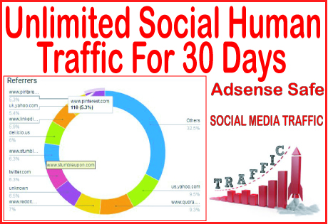 Get 30 days of Human traffic from social & organic web traffic from main search engines