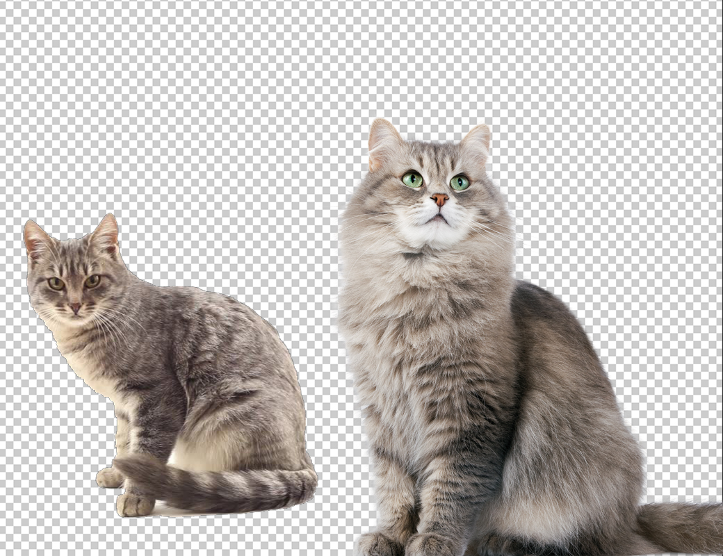 70 Images Background Remove