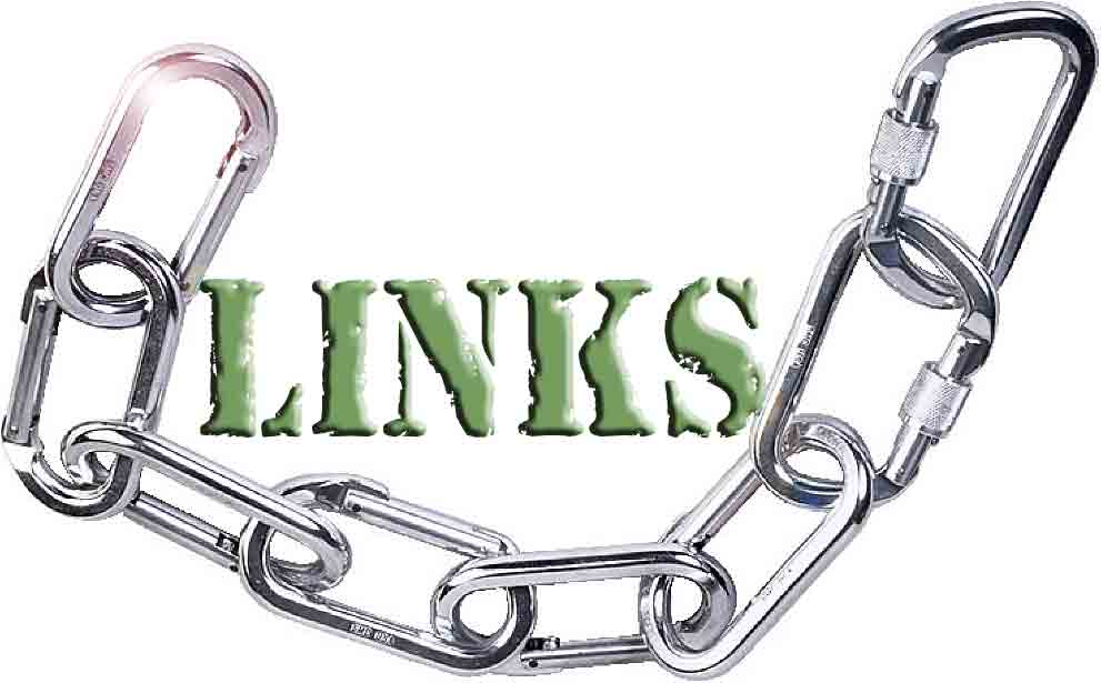 $build 3000+ High PR Permanent Contextual Backlinks From 3000+ HighPR Wiki Sites $