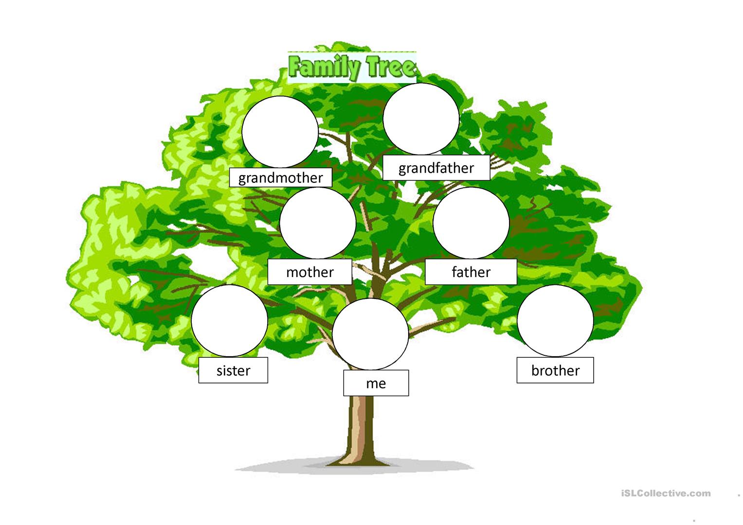 Drawing a family tree for $5 - SEOClerks