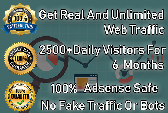We will Send 2500+ Safe Visitors / Traffic to your website Or Any other Link