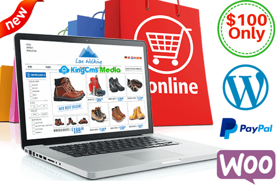 Design Ecommerce Website In 24 Hours With Free Hosting