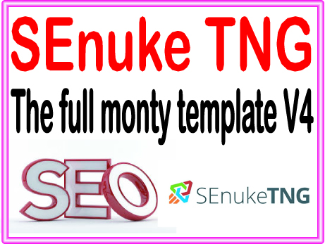 Get SEnuke affordable  Campaign - The full monty template V4