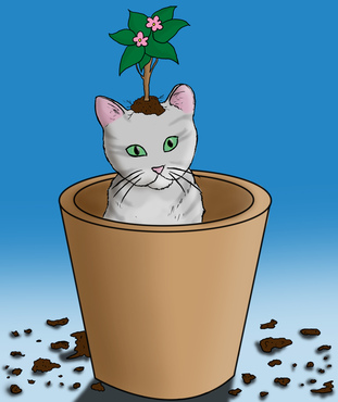 draw a childrens illustration ......!!!!!!