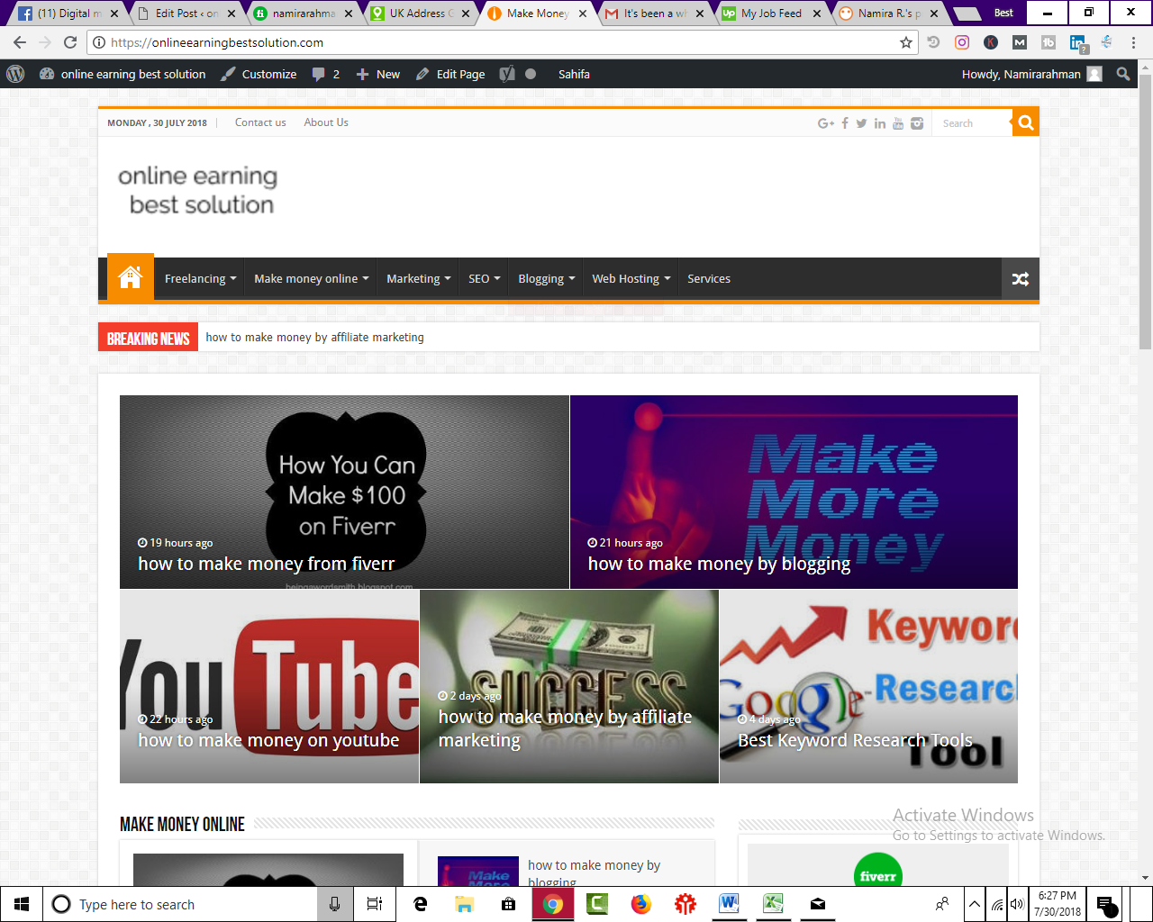 I Provide Pro Wordpress Theme And Customization