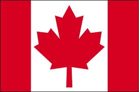 give 1000 visitors daily from Canada