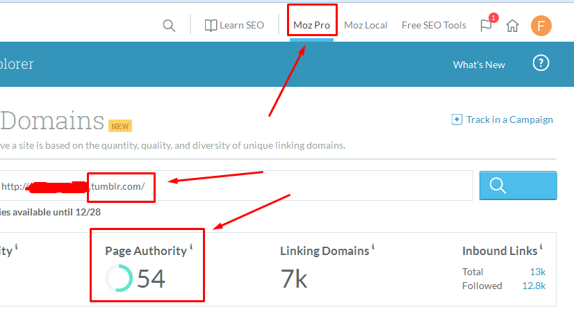 High PA 50+ 12 Expired Tumblr or Weebly Blogs