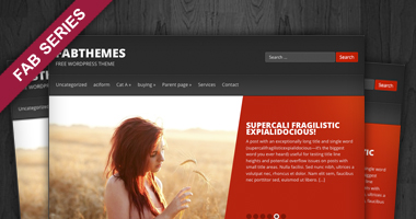 send for you 50 most beautiful WordPress Theme 2013  all  free