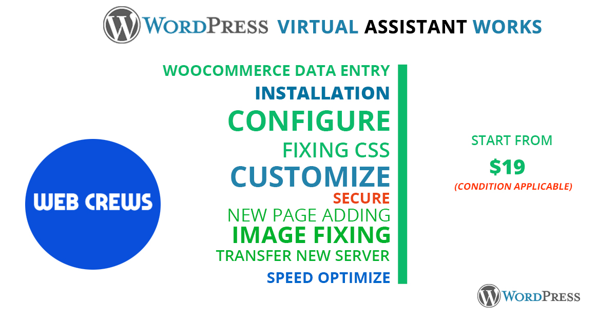 I will do 3 hours WordPress Professional virtual assistant for your business 